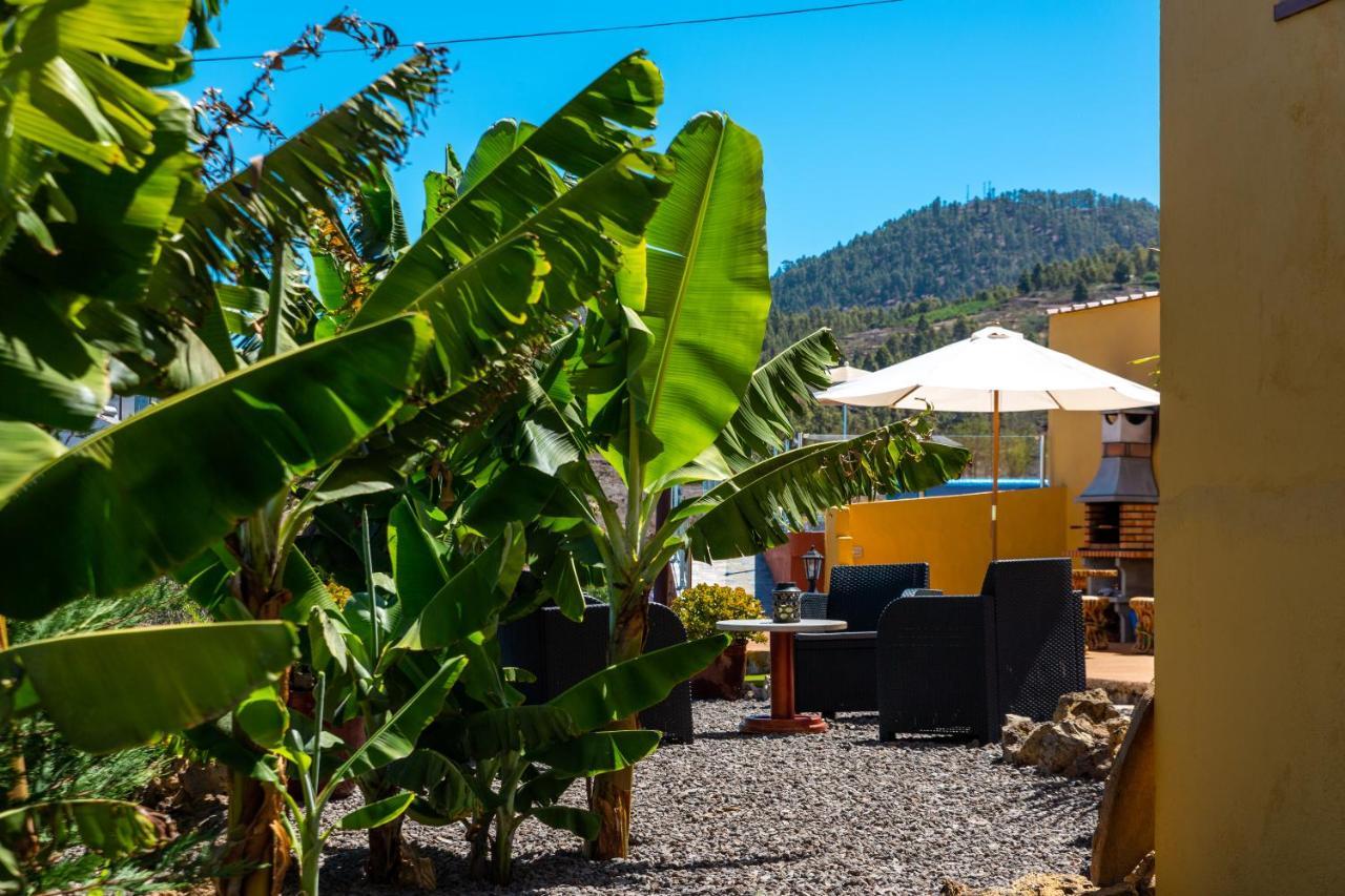 Casa La Vina Villa Puntagorda Dış mekan fotoğraf